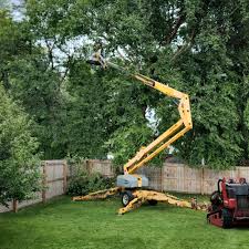 Best Arborist Consultation Services  in Poteau, OK