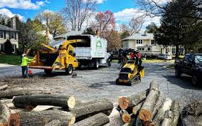 Best Tree Maintenance Programs  in Poteau, OK