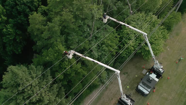 Best Storm Damage Tree Cleanup  in Poteau, OK